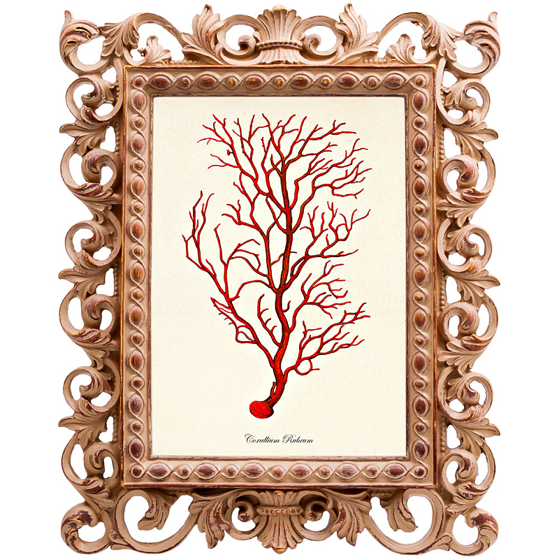  Red Coral Poster 4     | Loft Concept 