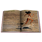 Лимитированная подарочная большая книга CARTIER Panthère варинант исполнения - 12 | Loft Concept в Москве