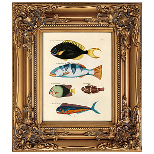 Постер в раме из натурального дерева Fishes 3