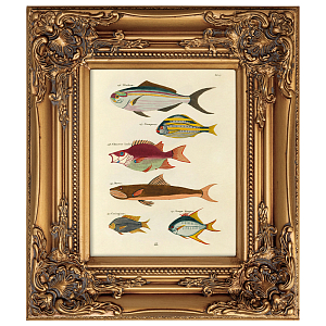 Постер в раме из натурального дерева Fishes 4