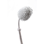 Статуэтка тропический фрукт Pandora Tropical Fruit Tall White варинант исполнения - 1 | Loft Concept в Москве