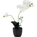 Декоративный искусственное растение Angel Orchid варинант исполнения - 1 | Loft Concept в Москве