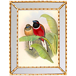 Постер с изображением птиц и цветов в зеркальной раме Blooming Birds Poster варинант исполнения - 6 | Loft Concept в Москве