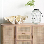 Блюдо декоративное в виде ракушки Seashell варинант исполнения - 1 | Loft Concept в Москве