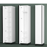 Шкаф-пенал белый с зеркальной дверцей Strict Lines варинант исполнения - 5 | Loft Concept в Москве