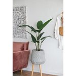 Декоративный искусственное растение Decor Stile  варинант исполнения - 6 | Loft Concept в Москве