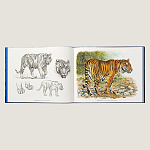 Лимитированная подарочная книга HERMES Fierce and Fragile book, English version варинант исполнения - 2 | Loft Concept в Москве