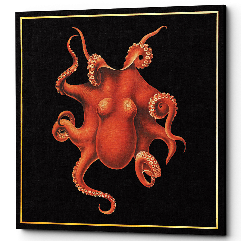  Octopus Poster     | Loft Concept 