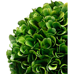 Декоративный искусственное растение Single boxwood варинант исполнения - 2 | Loft Concept в Москве