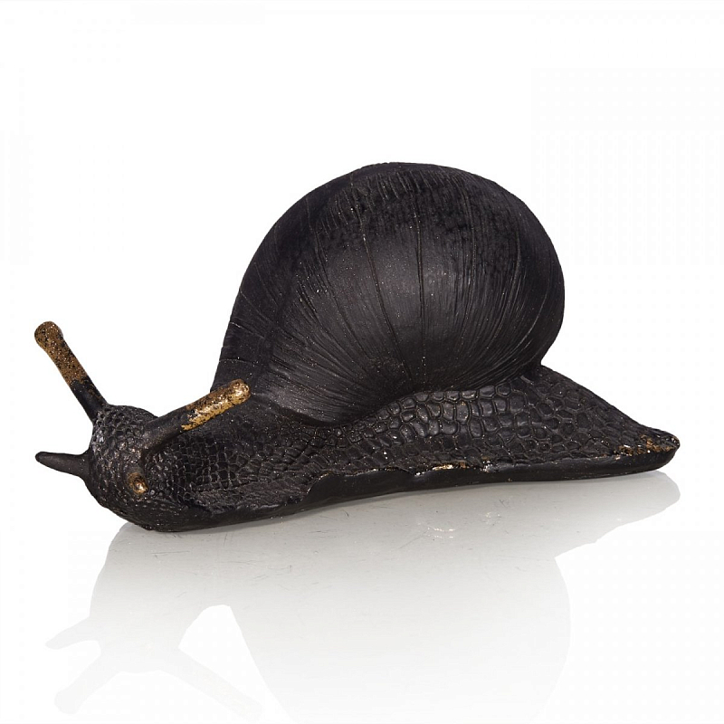  Black Snail    | Loft Concept 