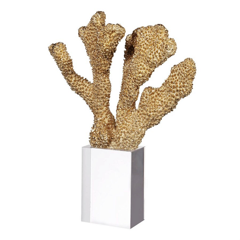  Gold Sea Cactus     | Loft Concept 