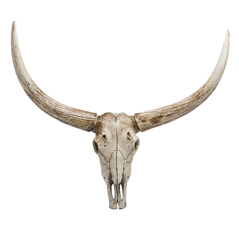   Bull Skull -   | Loft Concept 