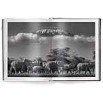 Книга Beusker. Look into my Eyes варинант исполнения - 2 | Loft Concept в Москве