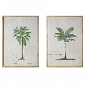 Большой Постер Зеленая Пальма