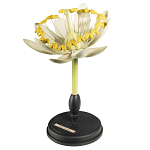 Статуэтка Tilia варинант исполнения - 3 | Loft Concept в Москве