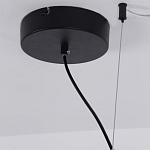 Люстра подвесная светодиодная черный металл Ring Horizontal варинант исполнения - 13 | Loft Concept в Москве