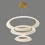 Люстра подвесная с 3-мя кольцевыми светодиодными лампами Catcher варинант исполнения - 1 | Loft Concept в Москве