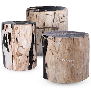 Пенек из окаменелого дерева black and white