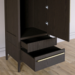 Узкий Шкаф Primo с 2 выдвижными ящиками Темный орех варинант исполнения - 5 | Loft Concept в Москве