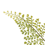 Декоративный искусственное растение Dried flower варинант исполнения - 3 | Loft Concept в Москве