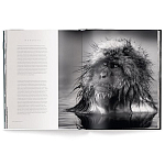 Книга Beusker. Look into my Eyes варинант исполнения - 3 | Loft Concept в Москве