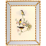 Постер с изображением птиц и цветов в зеркальной раме Blooming Birds Poster варинант исполнения - 8 | Loft Concept в Москве