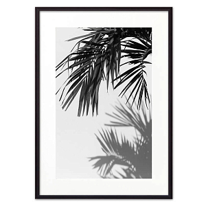 Постер Palm Branch