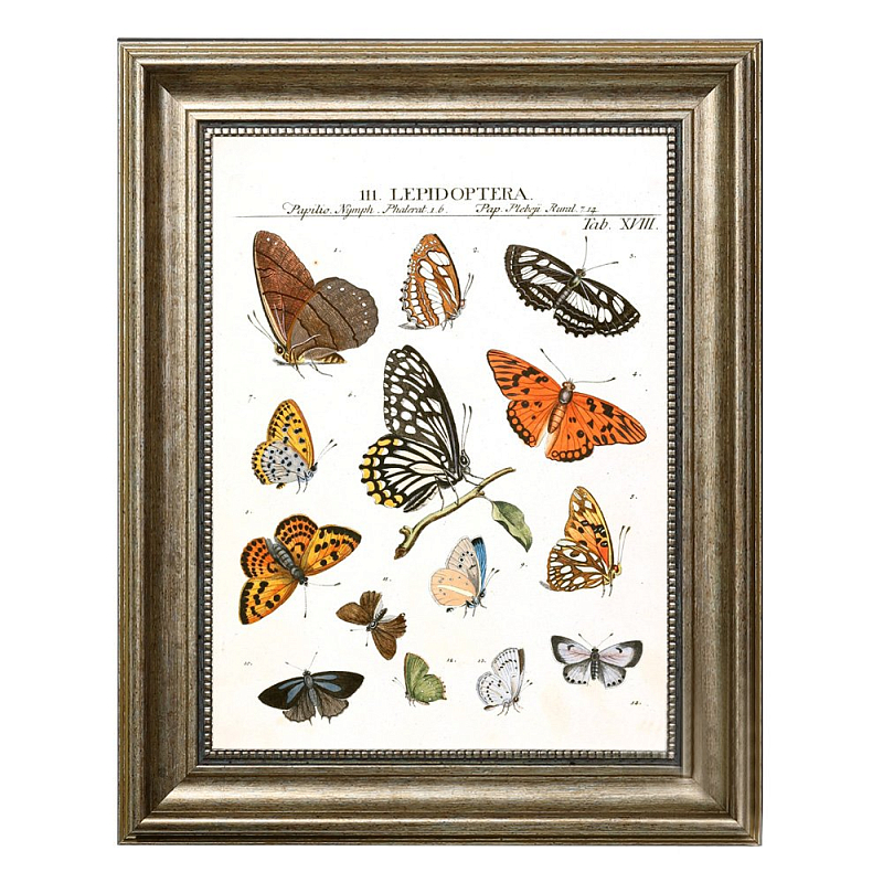  Little Butterflies    | Loft Concept 
