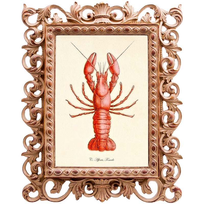  Red Lobster     | Loft Concept 