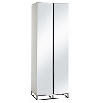 Двухдверный шкаф с зеркальными дверцами Strict Lines варинант исполнения - 5 | Loft Concept в Москве