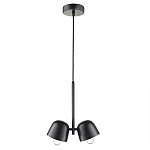 Подвесной светильник черный с 2-мя плафонами Pendant lamp Black варинант исполнения - 1 | Loft Concept в Москве