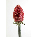 Статуэтка тропический фрукт Pandora Tropical Fruit Orange Red Round варинант исполнения - 3 | Loft Concept в Москве