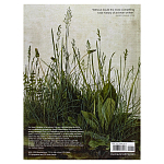 Самая полная история искусства на английском языке  A World History of Art, Revised 7th ed.: Revised 7th Edition варинант исполнения - 2 | Loft Concept в Москве