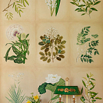 Обои ручная роспись Botanical Studies Linnaeus colourway варинант исполнения - 3 | Loft Concept в Москве