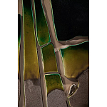 Панно «Амазония» варинант исполнения - 3 | Loft Concept в Москве