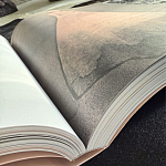 Лимитированное издание Иллюстрации модного дома Book: Dior par Mats Gustafson Vol. II Maria Grazia Chiuri варинант исполнения - 3 | Loft Concept в Москве