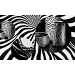 Редкое коллекционное издание Casa Cavalli Home: Celebrating the Roberto Cavalli Lifestyle Зебра варинант исполнения - 4 | Loft Concept в Москве