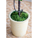 Декоративный искусственное растение Single boxwood варинант исполнения - 6 | Loft Concept в Москве