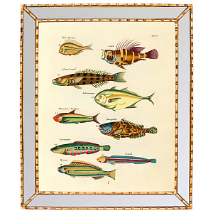 Постер в зеркальной раме Fish Guide 2