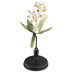 Статуэтка Wonderboom варинант исполнения - 2 | Loft Concept в Москве