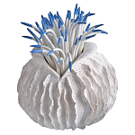 Статуэтка тропический фрукт Tropical Fruit White Blue варинант исполнения - 2 | Loft Concept в Москве