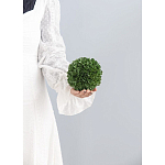 Декоративный искусственное растение Small boxwood варинант исполнения - 3 | Loft Concept в Москве