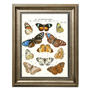Постер Butterfly Collection