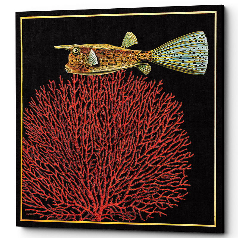  Fish and Coral Poster 3     | Loft Concept 
