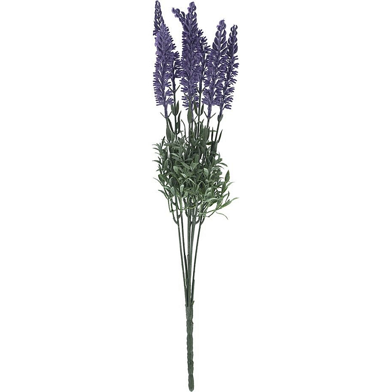    Excellent lavender     | Loft Concept 