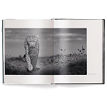 Книга Beusker. Look into my Eyes варинант исполнения - 1 | Loft Concept в Москве