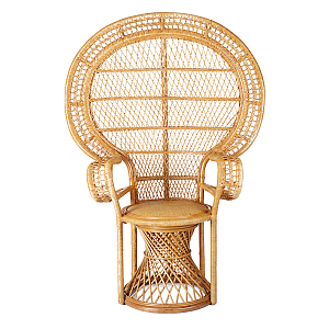Кресло Braided Peacock Tail Chair