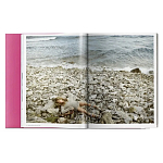 Книга Gisele Bundchen варинант исполнения - 9 | Loft Concept в Москве