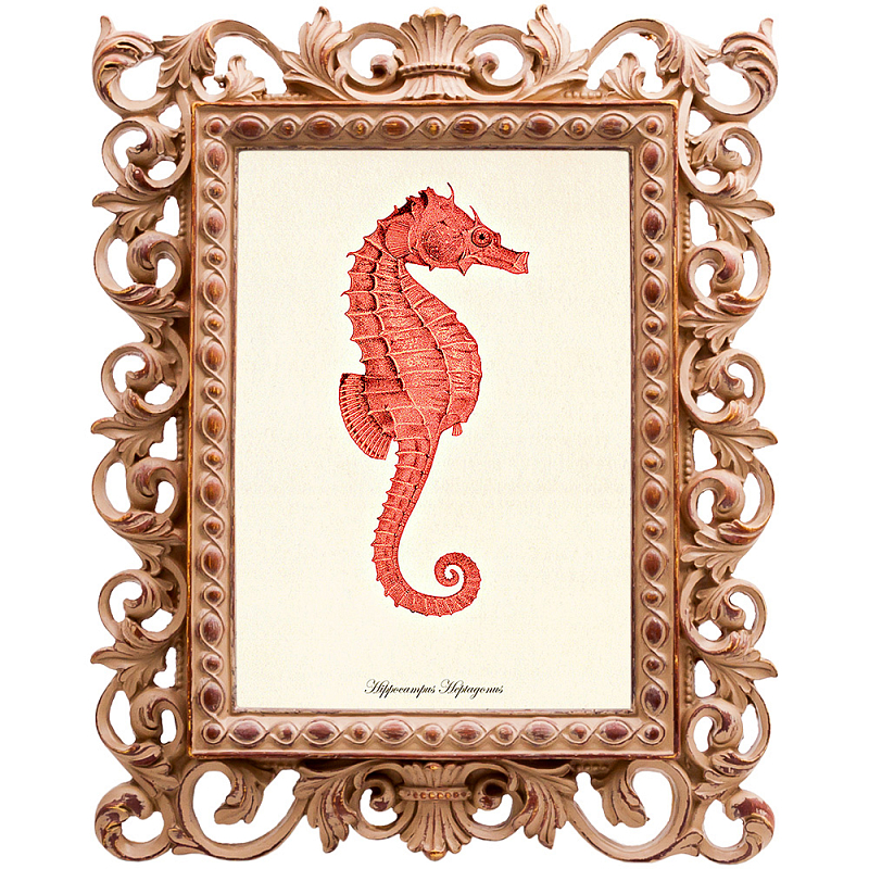  Red Seahorse Poster     | Loft Concept 