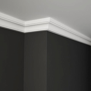 Гладкий карниз KT-67